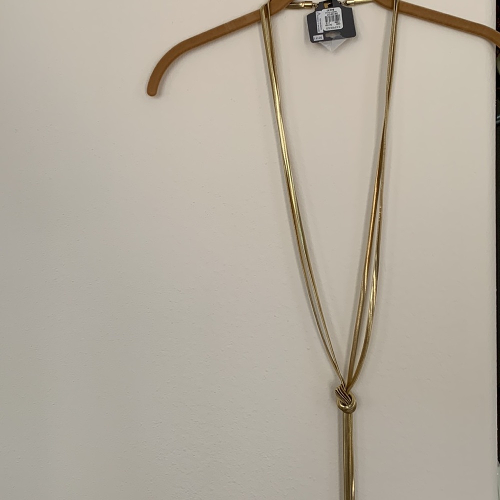 Express Necklace - Picture 3 of 6